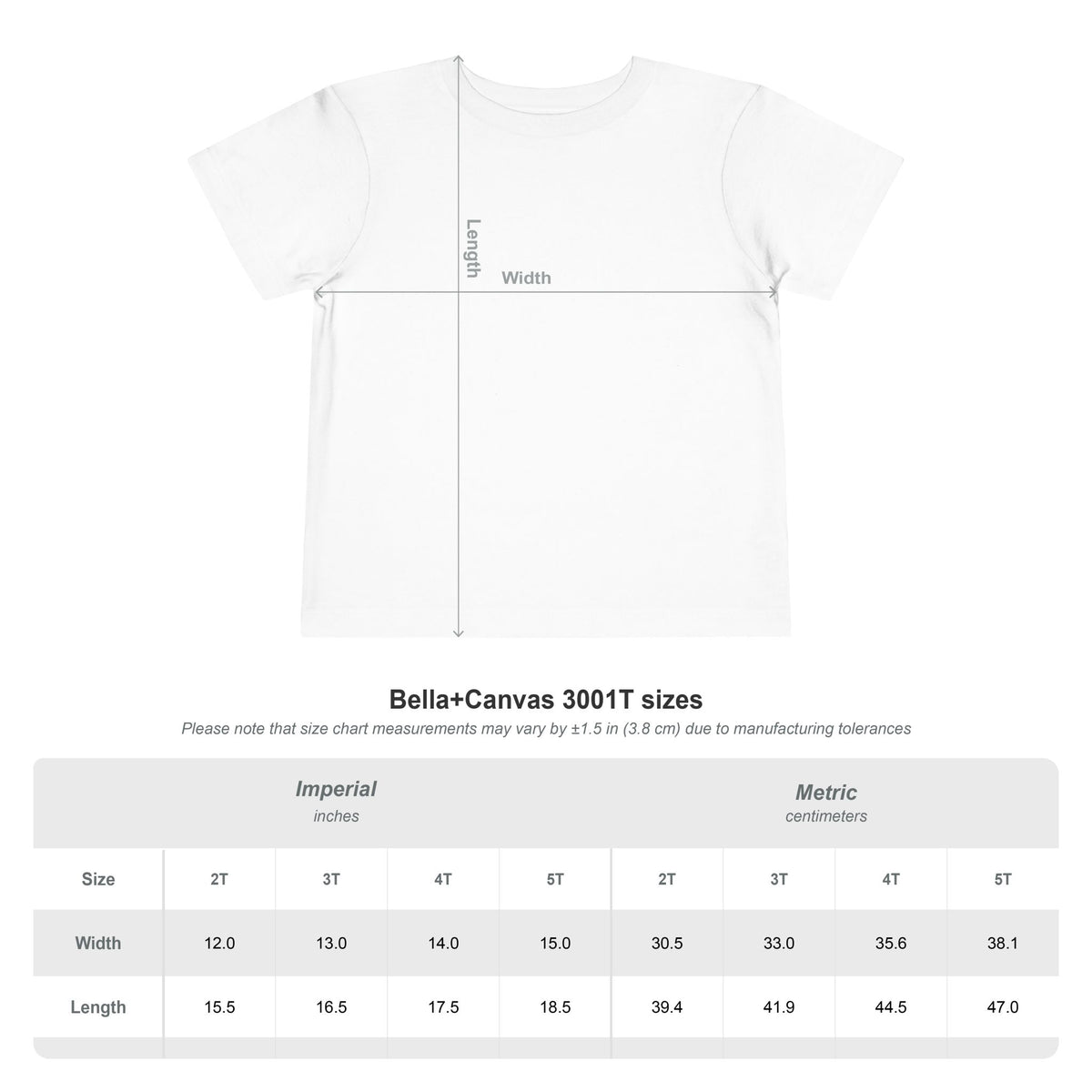 Toddler Salt of the Earth Tee